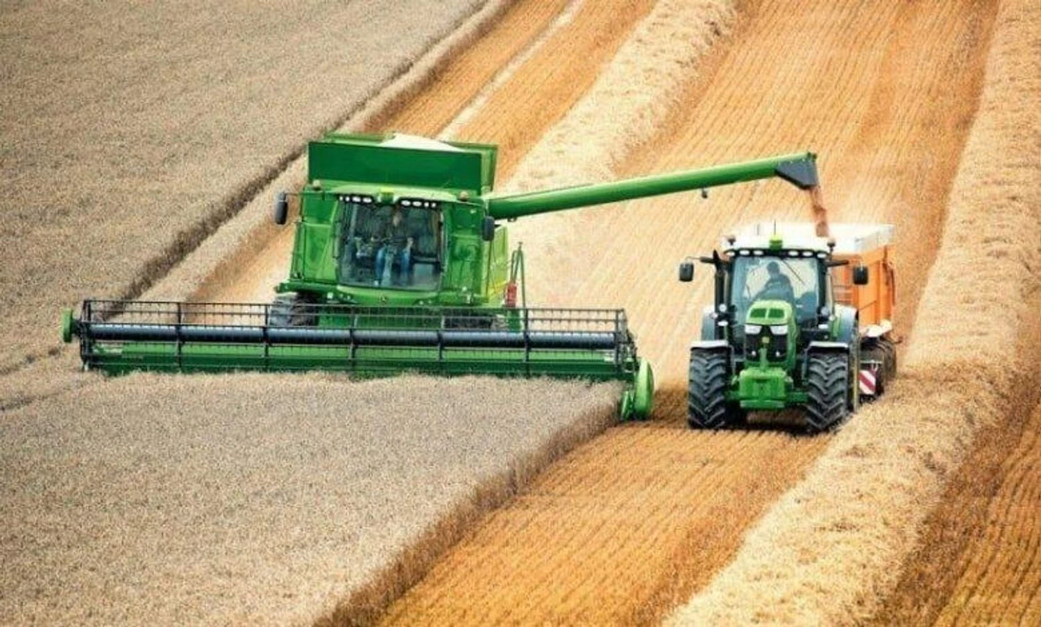 Українські Національні Новини (УНН)