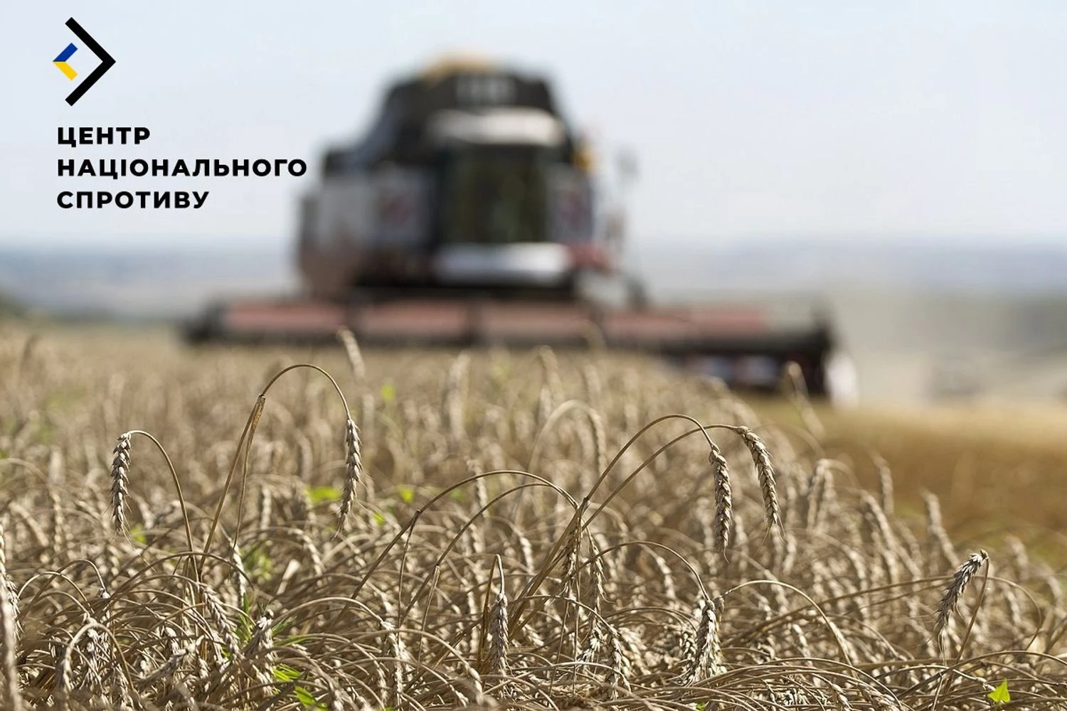 "Субсидії" на врожай як прикриття для грабунку: на ТОТ Херсонщини окупанти дотують колаборантів - ЦНС