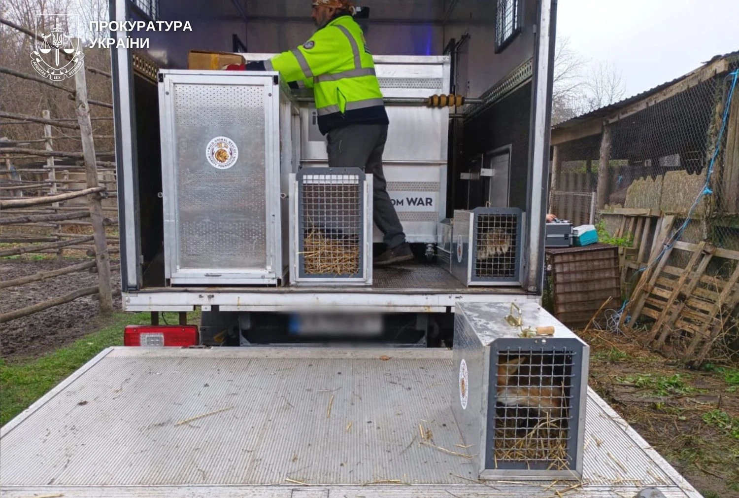 Не лише левиць: ще частину тварин вилучили із приватного зоокутка у Хмельницькому