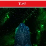 Українські Національні Новини (УНН)