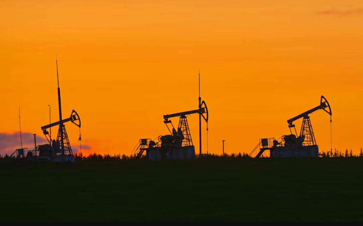 Українські Національні Новини (УНН)