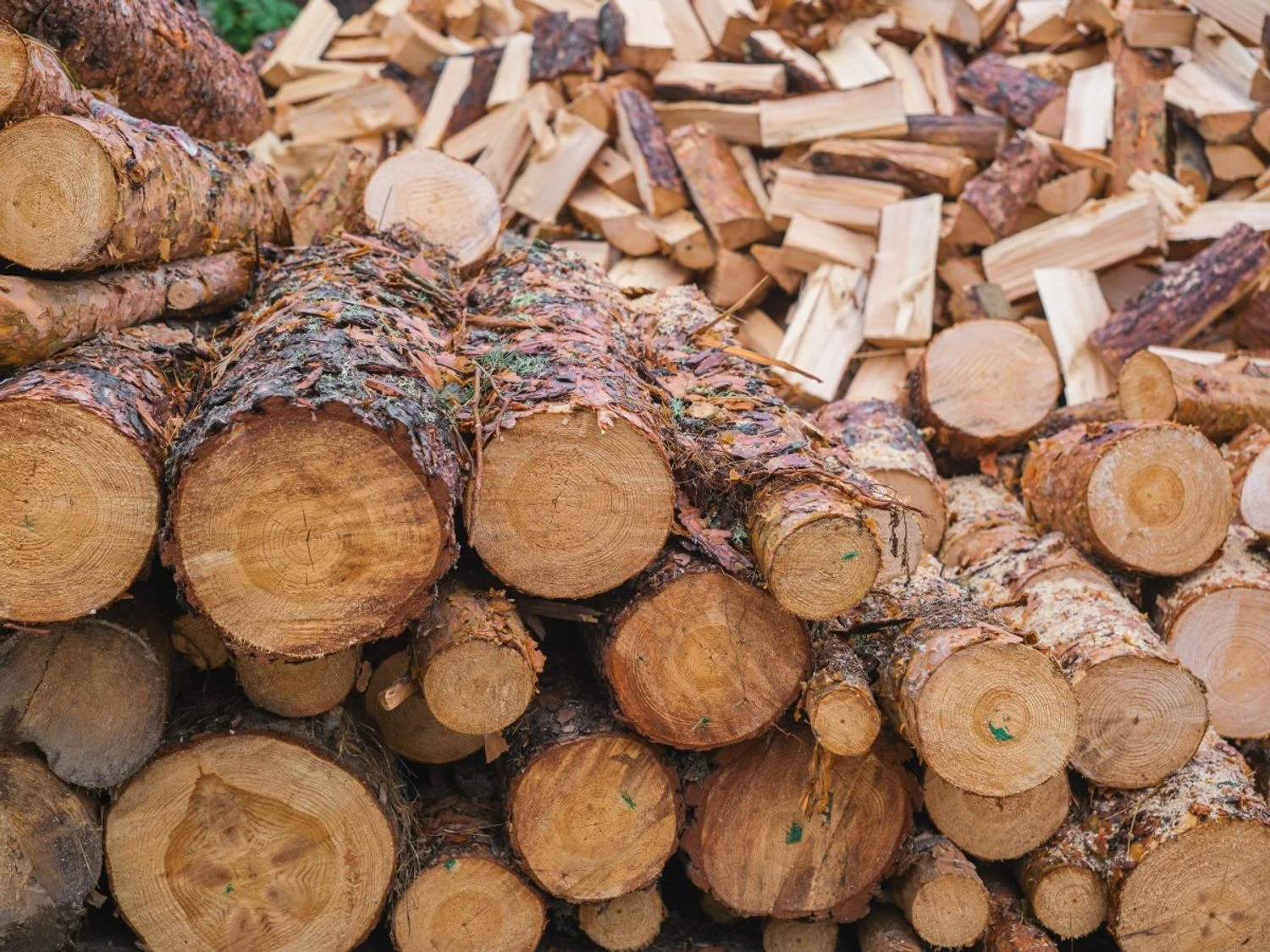 Безпідставна закупівля деревини на 1,6 млн грн: ексдиректору “Лиманського лісгоспу” повідомлено про підозру