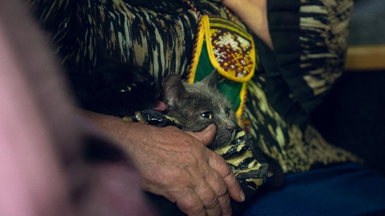 Можливість виїзду з прикордоння Сумщини може ускладнюватися, але до 4 тис. жителів відмовляються від евакуації - ОВА