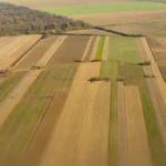 Українські Національні Новини (УНН)