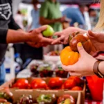 Українські Національні Новини (УНН)