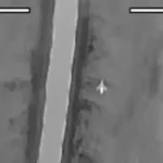 рф застосовує новий реактивний дрон-камікадзе для ударів по мобільних цілях