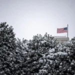 Українські Національні Новини (УНН)