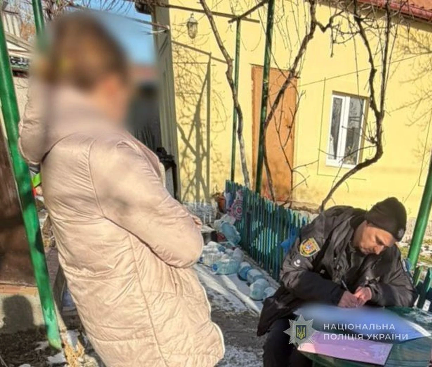 В Одесі двох котів прив