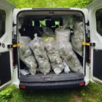 Наркоугруповання