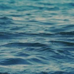 Україна втратила понад 272 тис. га морських заповідних акваторій через агресію рф - Академія наук