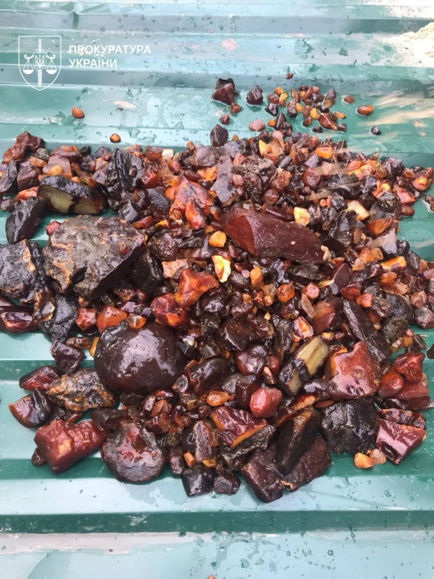 На Рівненщині викрили “тіньового куратора” незаконного видобутку бурштину на понад 350 млн грн – Генпрокурор Кравченко