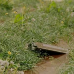 росіяни почали скидати міни з дронів "Шахед" на територію України - радник міністра оборони