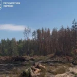 На Львівщині викрили схему вирубки лісу на 103 млн грн, підозрюваний депутат - Генпрокурор