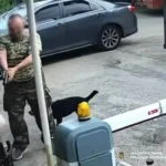 У Києві чоловік зі зброєю напав на літнього охоронця через собаку