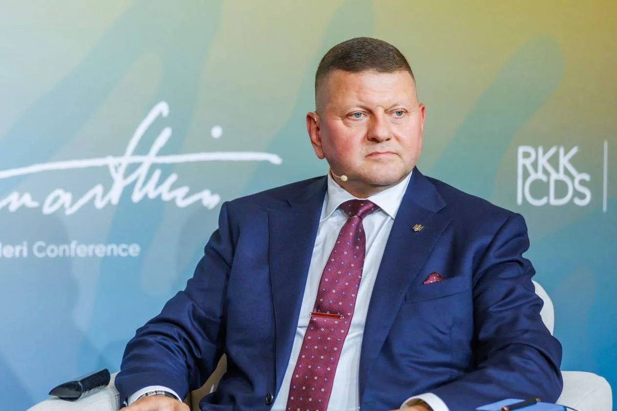 Світовий порядок більше не працює - Залужний закликав до нових безпекових рішень