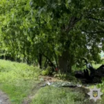 Українські Національні Новини (УНН)