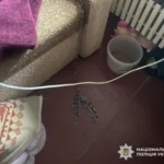 Мати утримувала 7-річного сина на ланцюгу на Дніпровщині - прокуратура