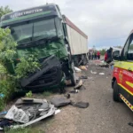 Масштабна ДТП із 12 загиблими на Миколаївщині: розпочато розслідування
